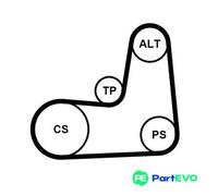 CONTINENTAL CTAM V-RIBBED BELT SET 5PK1135K2 FOR NISSAN RENAULT