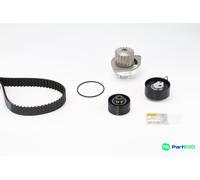 CONTINENTAL CTAM WATER PUMP & TIMING BELT KIT CT1065WP2 FOR CITROËN PEUGEOT