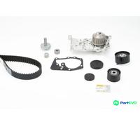 CONTINENTAL CTAM WATER PUMP & TIMING BELT KIT CT1179WP4 FOR RENAULT