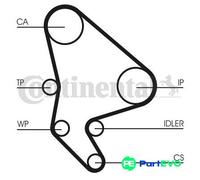 CONTINENTAL CTAM WATER PUMP & TIMING BELT KIT CT987WP2 FOR CITROËN FIAT PEUGEOT