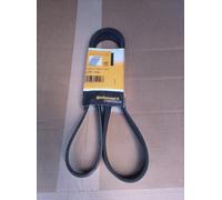 CONTINENTAL DRIVE BELT 8 X 1448 8 PK 1448