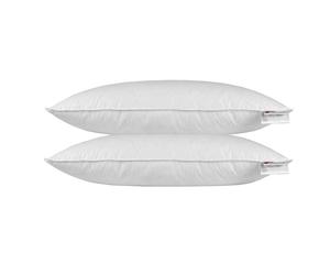Continental European Size Duck Feather Single & Pillow Pair - 100% Cotton Casing
