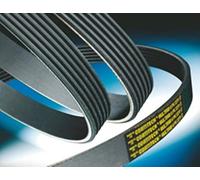 Contitech 4PK1230, Contitech V-Ribbed Belt 4PK1230