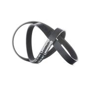 CONTITECH 5PK1121 EXTRA Serpentine belt