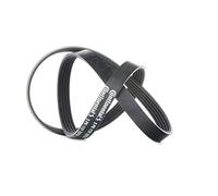 CONTITECH 5PK1121 Extra V-Ribbed Belt