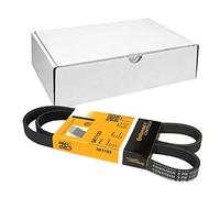 Contitech 5PK1155 V-Ribbed Belt, Black