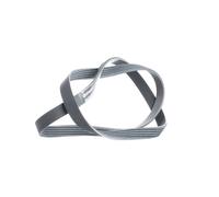 CONTITECH 5PK1219 Serpentine belt