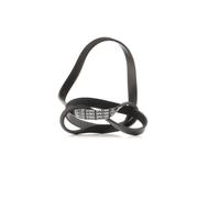 CONTITECH 5PK1300 Serpentine belt