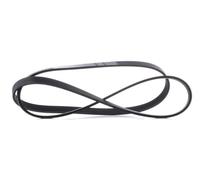 Contitech 5PK1515 V-Ribbed Drive Belt
