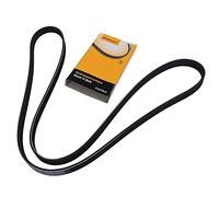 Contitech 5PK1546 Loose Multi-V Belt