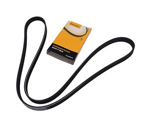 Contitech 5PK1546 Loose Multi-V Belt