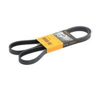 Contitech 5PK1546 Loose Multi-V Belt