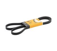 CONTITECH 5PK1592 Serpentine belt