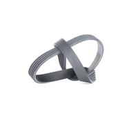 CONTITECH 5PK725 Serpentine belt