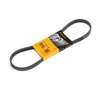 Multi-ribbed V-belt 5PK868 ELAST CONTINENTAL CTAM for FORD VOLVO