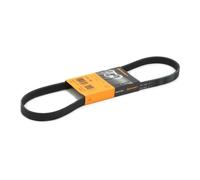 CONTITECH 5PK906 V-ribbed belt, Black/White