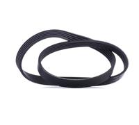 Contitech 5PK975 V-Ribbed Belt