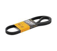 CONTITECH 6DPK1195 Serpentine belt