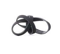 CONTITECH 6PK1000 Serpentine belt