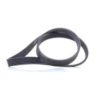 CONTITECH 6PK1019 ELAST Serpentine belt