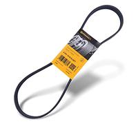 CONTITECH 6PK1019 ELAST Serpentine belt