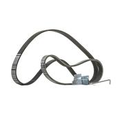 CONTITECH 6PK1029 ELAST T1 V-Ribbed Belt Set