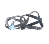 CONTITECH 6PK1059 ELAST T2 V-Ribbed Belt Set