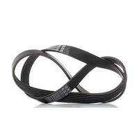 CONTITECH 6PK1084 Serpentine belt