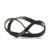 CONTITECH 6PK1084 Serpentine belt