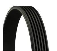 ContiTech V-Ribbed Belt 6PK1115
