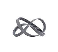 ContiTech V-Ribbed Belt 6PK1318 - Multi-Ribbed 6-Rib for Suzuki Fiat Opel