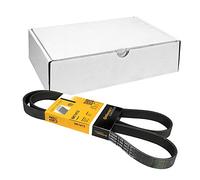 Multi-ribbed V-belt 6PK1413 CONTINENTAL CTAM for FORD RENAULT ROVER CHRYSLER UAZ