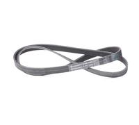 CONTITECH 6PK1460 Serpentine belt