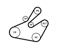 CONTITECH 6PK1468K1 V-Ribbed Belt Set