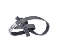 CONTITECH 6PK1560 Serpentine belt