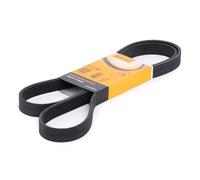 CONTITECH 6PK1580 Serpentine belt