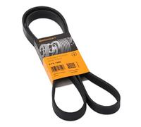CONTITECH 6PK1590 Serpentine belt