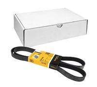 Contitech 6PK1590 V-Ribbed Belts, Black