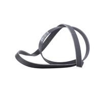 CONTITECH 6PK1613 Serpentine belt
