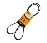 Multi-ribbed V-belt 6PK1642 CONTINENTAL CTAM for VOLVO RENAULT VW FORD JAGUAR