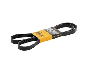 CONTITECH 6PK1642 Serpentine belt