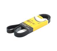 CONTITECH 6PK1660 Serpentine belt