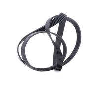 Multi-ribbed V-belt 6PK1670 CONTINENTAL CTAM for FIAT CITROËN PEUGEOT JAGUAR