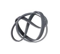 CONTITECH 6PK1693 Serpentine belt