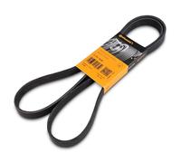 Multi-ribbed V-belt 6PK1698 CONTINENTAL CTAM for VW SEAT CITROËN BMW ALPINA AUDI