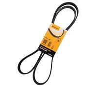 ContiTech V-Ribbed Belt 6PK1795 – 6 Ribs – Fan/Alternator Drive Belt
