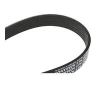 CONTITECH 6PK1836 Serpentine belt