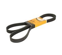 CONTITECH V-ribbed belt 6PK1880 1880 6 AUDI: A6 C5 Avant, A4 B7 Saloon, A6 C6 Avant, VOLKSWAGEN: Polo IV Hatchback, Passat B5 GP Estate