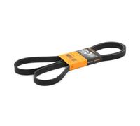 Multi-ribbed V-belt 6PK1900 CONTINENTAL CTAM for SAAB OPEL FORD VW MAZDA DAEWOO