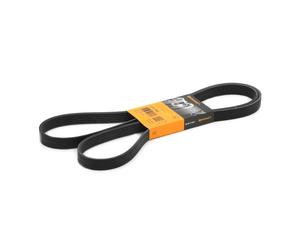 CONTITECH 6PK1900 Serpentine belt